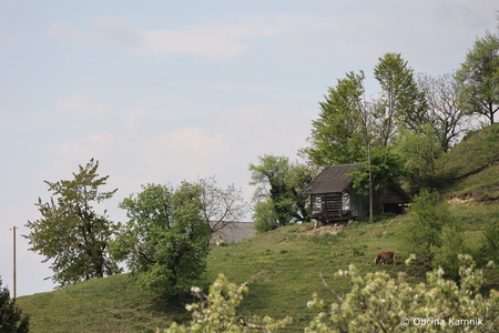 Praznik razvoja v Tunjicah (37)